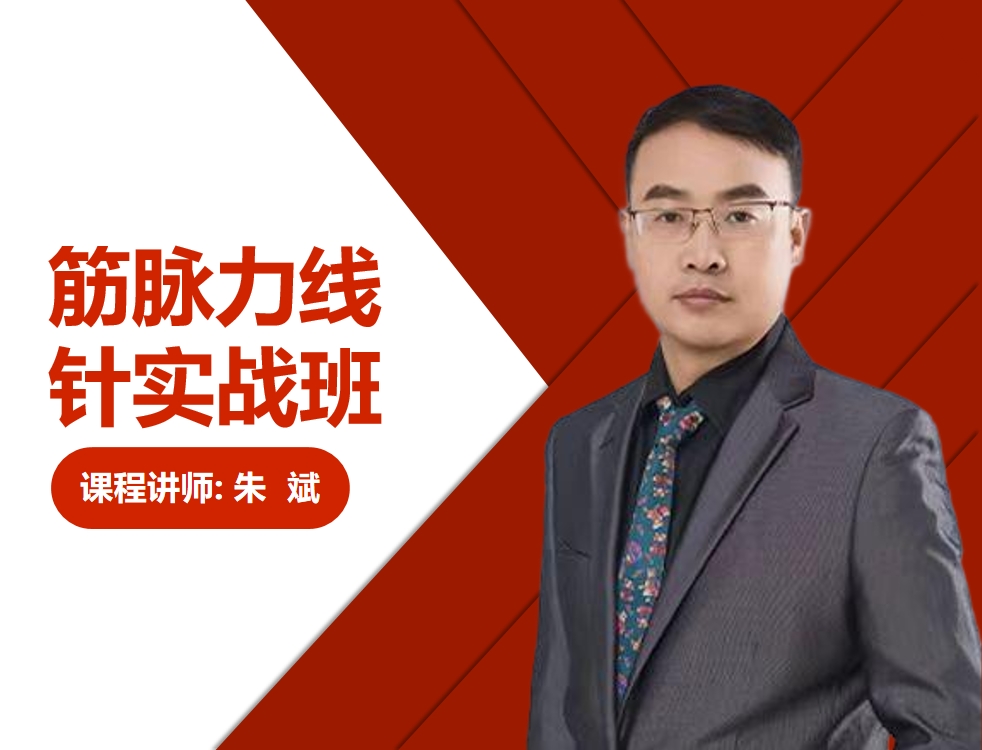 筋脉力线针实战班 封面
