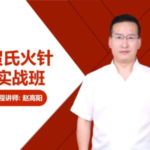 贺氏火针实战班 封面