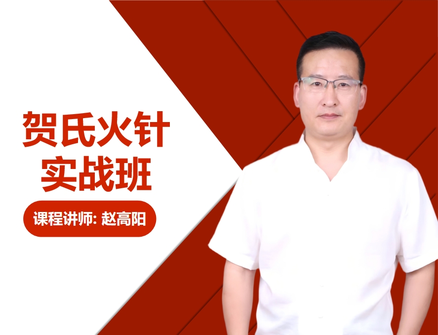 贺氏火针实战班 封面